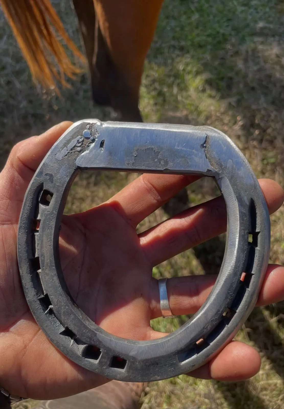 Herradura hecha a medida en la mano del herrero, con un caballo de fondo
